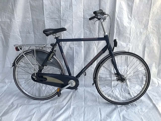 Batavus Flash